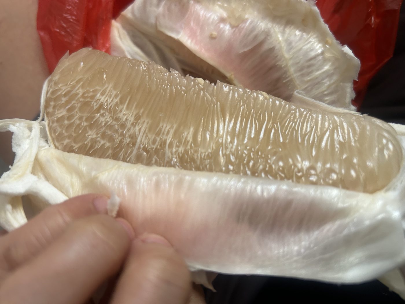 果园蜜柚